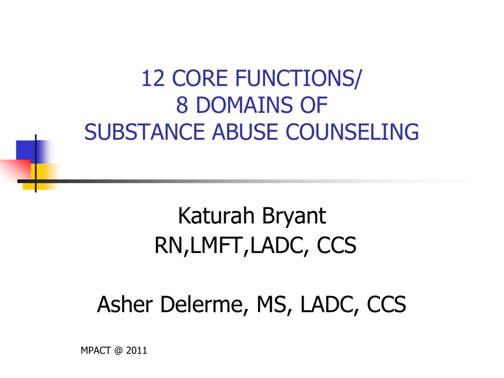 12 CORE FUNCTIONS/ 8 DOMAINS OF SUBSTANCE ABUSE