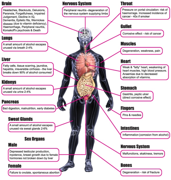 Alcohol and effects on the body