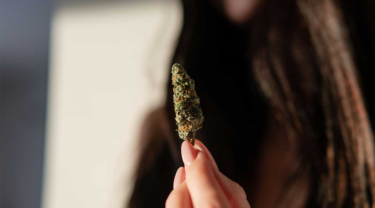 Can You Get Addicted to Marijuana?