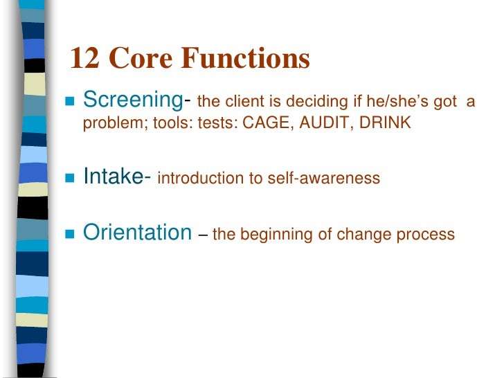 Case Study Using 12 Core Functions