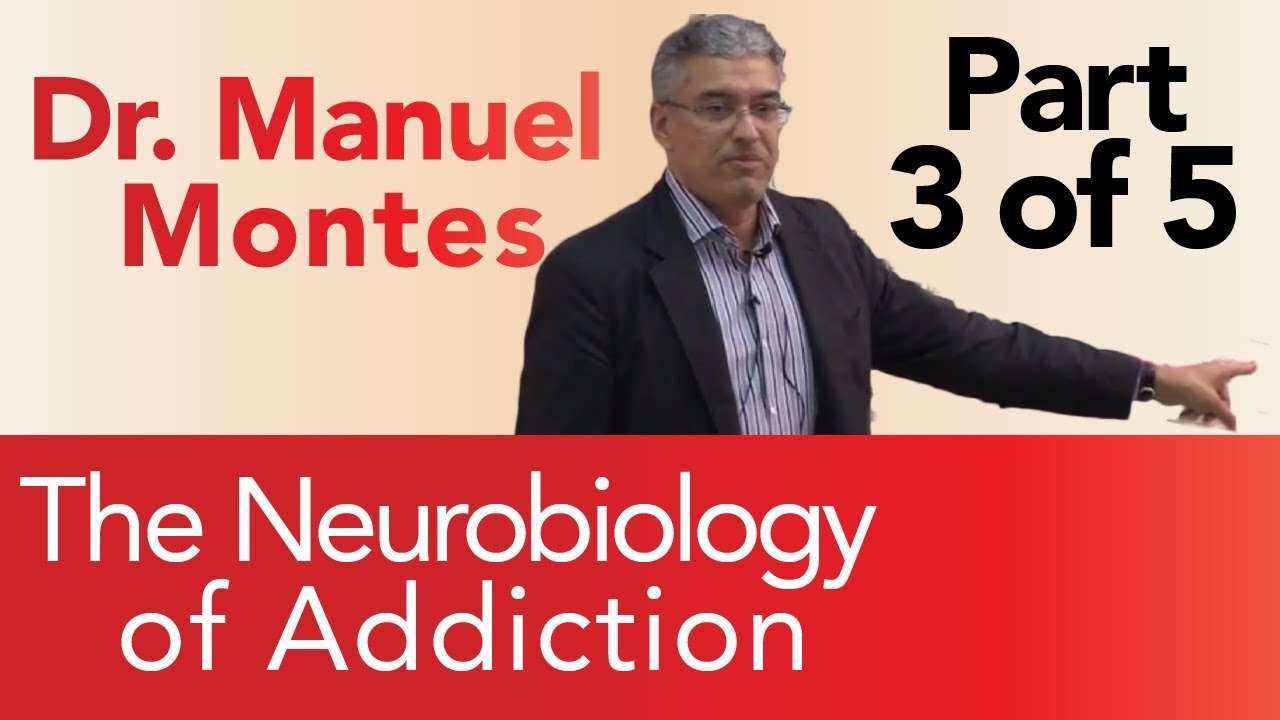 Dr. Montes: Neurobiology of Addiction Part 3 of 5