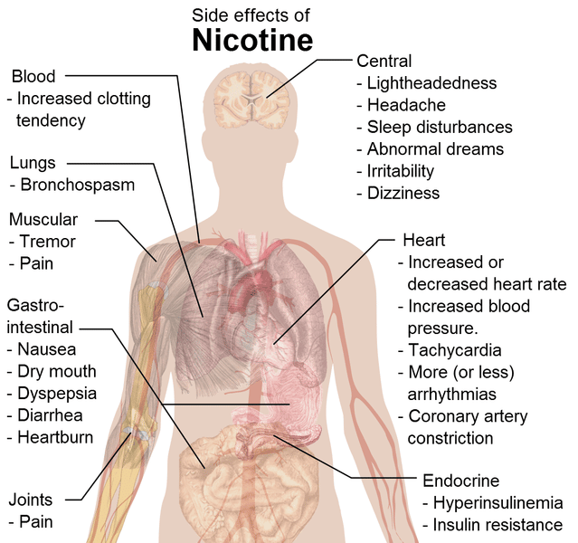 How long does Nicotine stay in your System? Blood, Urine, Hair Test For ...