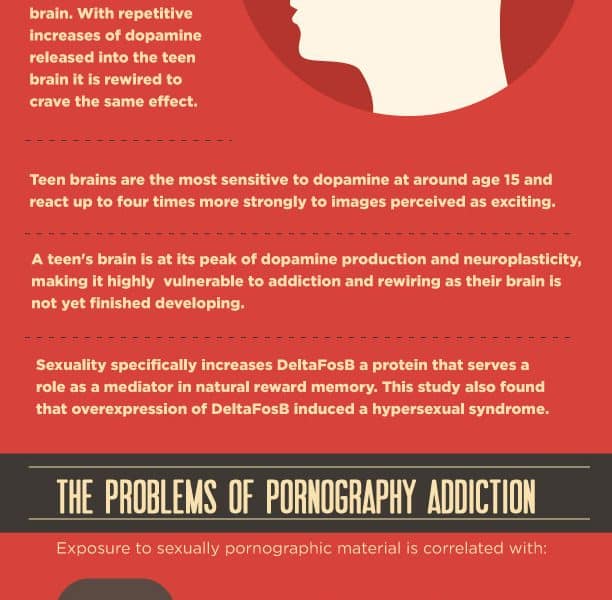 How Pornography Addiction Affects the Teenage Brain [Infographic ...