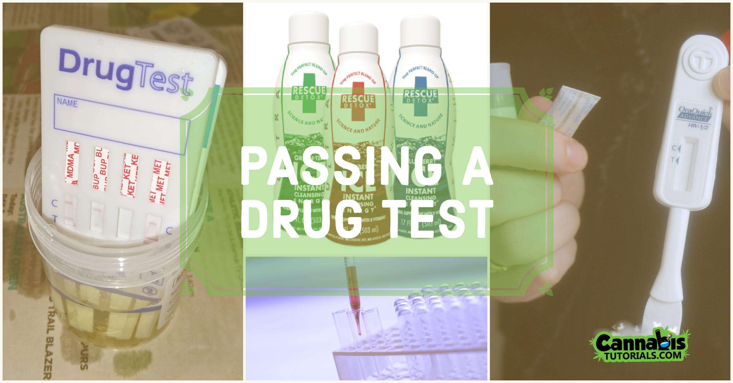 How To Pass a Urine Drug Test for Weed