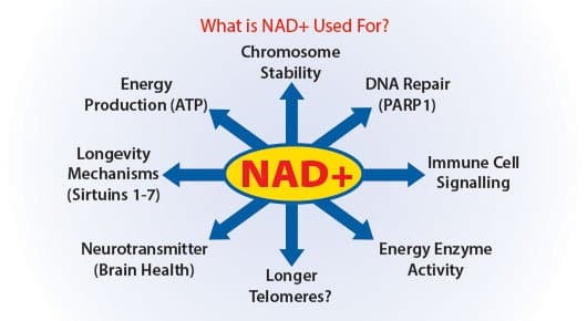 NAD+ IV THERAPY FOR BRAIN HEALTH AND ADDICTION
