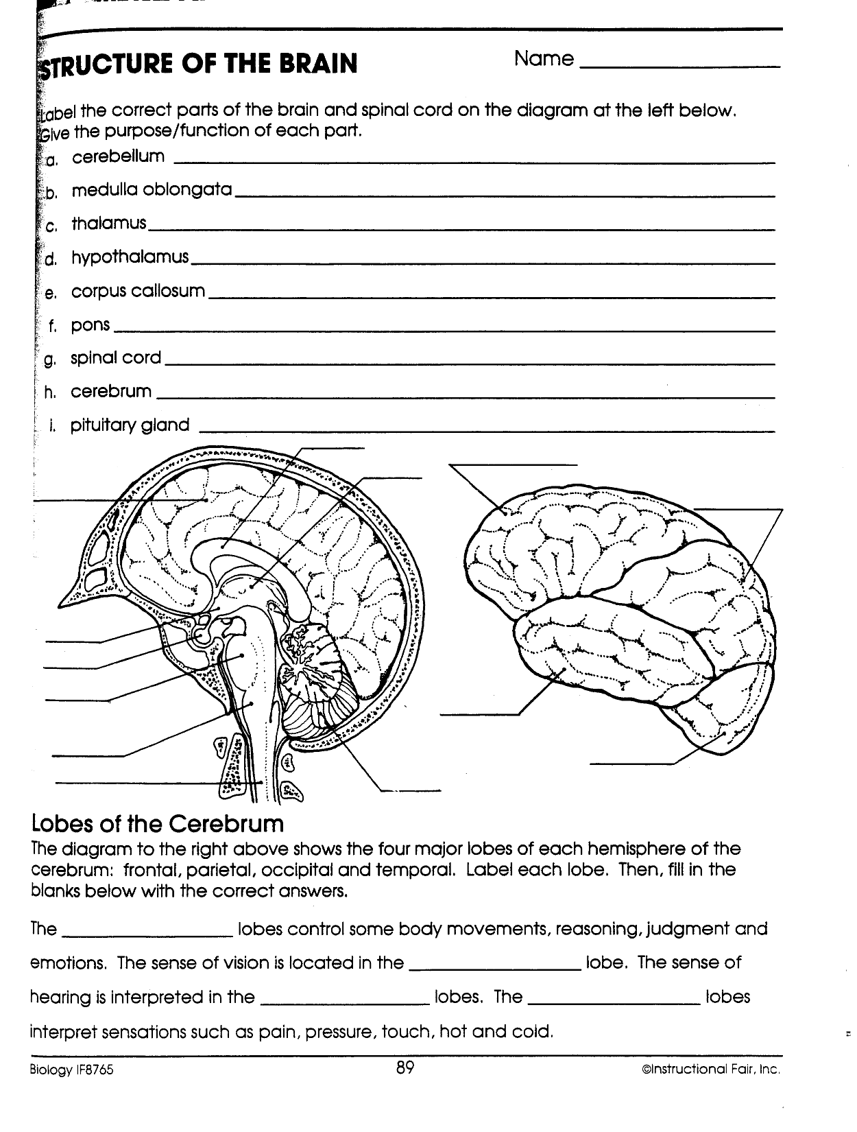 Brain tasks. Brain Worksheet. Capabilities of Human Brain Worksheets. Brain structure and function. Human Brain Worksheets.