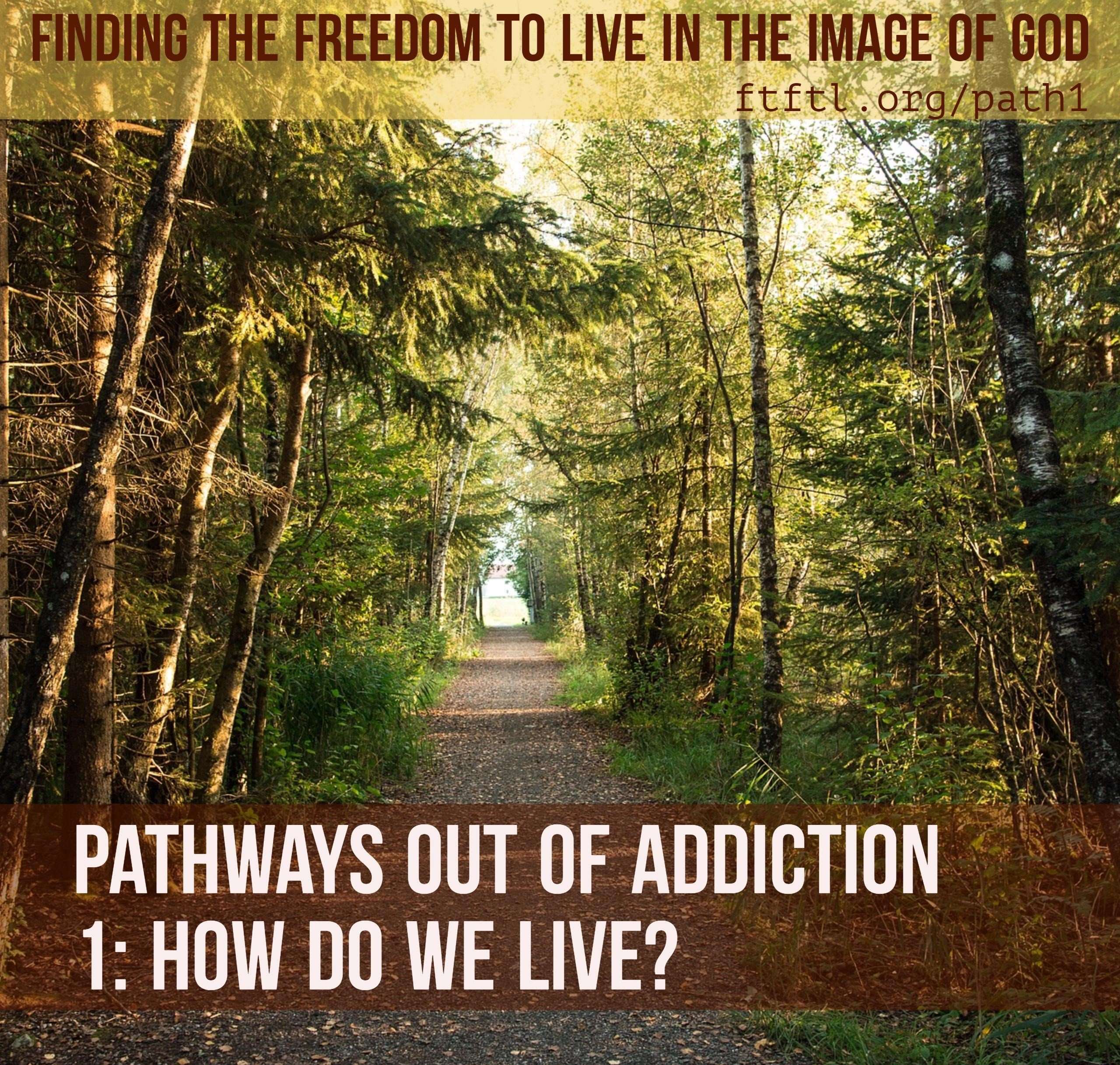 Pathways out of Addiction 1: How do we live?  Finding the ...