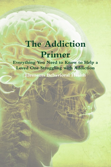 The Addiction Primer: Everything You Need to Know to Help a Loved One ...