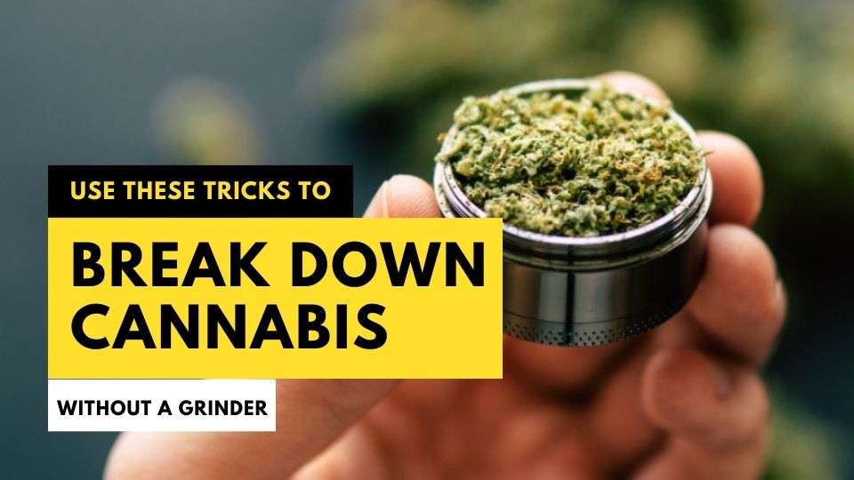 Use These Tricks to Break Down Cannabis Without a Grinder