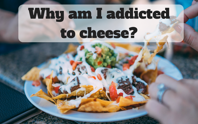 Why Am I Addicted to Cheese?!?!